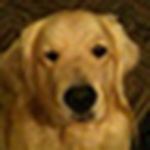 Profile Picture of Piper Smith (@psbelland) on Flickr