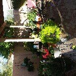 Profile Picture of Nancy Hodges Brown (@nansea24) on Instagram