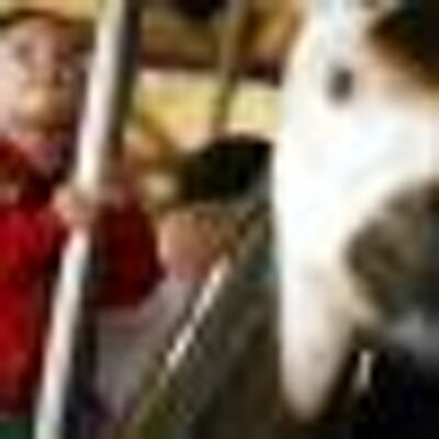 Profile Picture of Nathan J Farnsworth (@nfarnswo) on Twitter