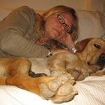 Profile Picture of Brigitte Duval (@brigitte.duval.73) on Instagram