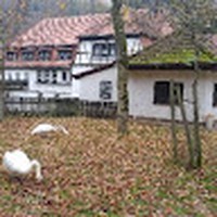 Profile Picture of Brandon Edick (@brandon-edick-2) on Quora