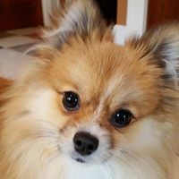 Profile Picture of Michael Krol (@michael-krol-3) on Quora