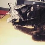 Profile Picture of Gustav Müller (@zukunft.077) on Instagram