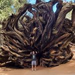 Profile Picture of David Devore (@david.devore.773) on Instagram