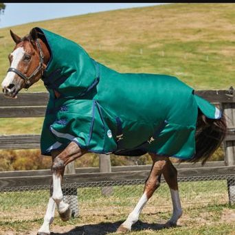 Anthony Rizza - Twitter Profile Picture of Anthony Rizza (@Anthonyrizza1) on Twitter