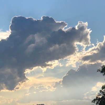 Jessie Radford - Twitter Profile Picture of Jessie Radford (@JessieRadford3) on Twitter