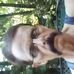 Profile Picture of Larry Mcglade (@larry.mcglade.71) on Facebook
