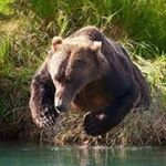 Profile Picture of Paul Hutchens (@paulhutchens) on Instagram