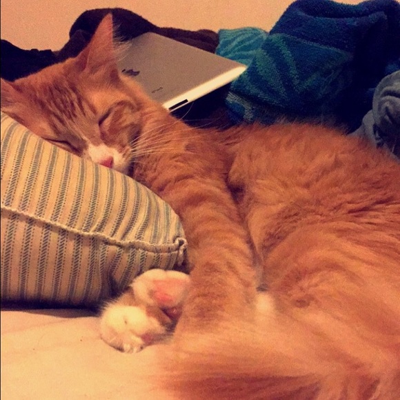 Profile Picture of Jessica Letarte (@jessca16) on Poshmark