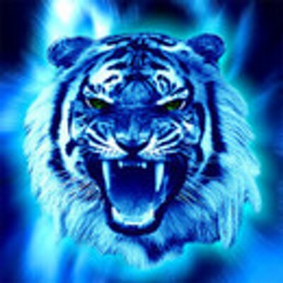 Profile Picture of Garry Jacobson (@GarryWestwood) on Twitter