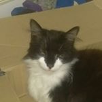 Profile Picture of Robyn Chandler (@rchandler89) on Instagram