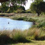 Profile Picture of Boby George (@boby__george) on Instagram