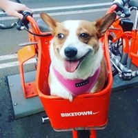 Profile Picture of Raven Watson (@raven-watson-5) on Quora