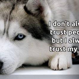 Profile Picture of Tony Rader (@mn_tony) on Twitter