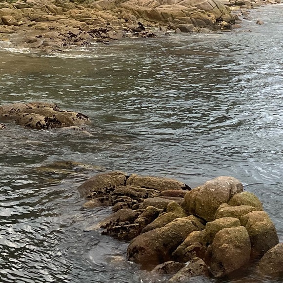 Profile Picture of Bella Buno (@zenny466) on Poshmark