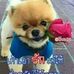 Profile Picture of Chanh Vue (@maivthoj.vwj.7) on Facebook