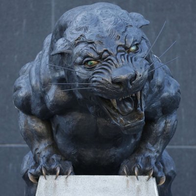 Profile Picture of Scott Gilles (@NFC_Kats) on Twitter