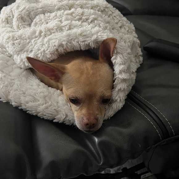 Katelynn Harris - Poshmark Profile Picture of Katelynn Harris (@klynn299) on Poshmark