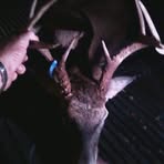 Mike Cragg - Facebook Profile Picture of Mike Cragg (@mike.cragg.509) on Facebook