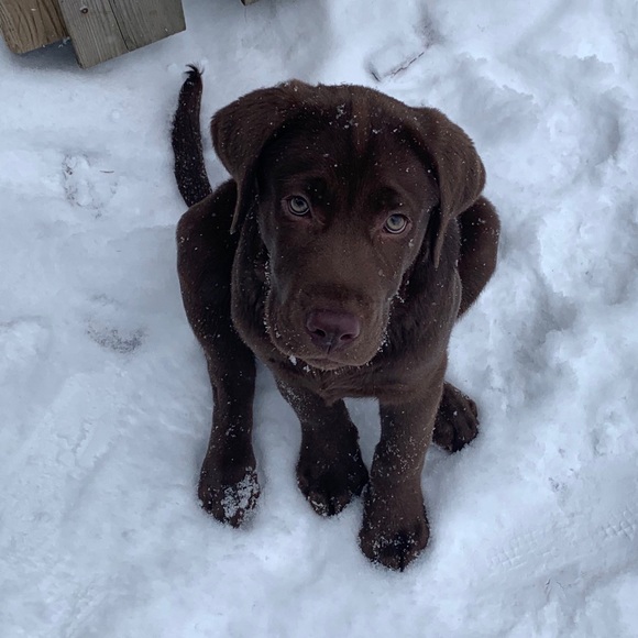 Profile Picture of April Ryan (@aprill462) on Poshmark