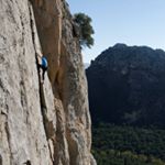 Profile Picture of Seán Fortune (@fortune_sean) on Instagram