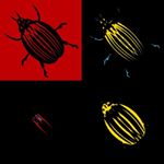 Profile Picture of KNowlingly UNknown (@the_localbug) on Instagram