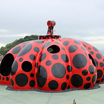 Profile Picture of Glen Armstrong (@art.tours.nz) on Flickr