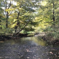 Profile Picture of Ty Wise (@ty-wise-4) on Quora