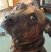 Profile Picture of Jeff Waggoner (@jeff.waggoner.71) on Facebook