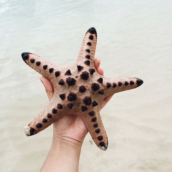 Profile Picture of Almie Paja (@almiejane) on Poshmark