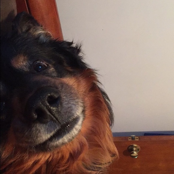 Profile Picture of Adam Conley (@acon1992) on Poshmark