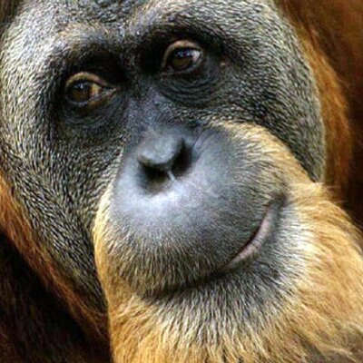Profile Picture of Peter Lockwood (@PeterLockwood6) on Twitter