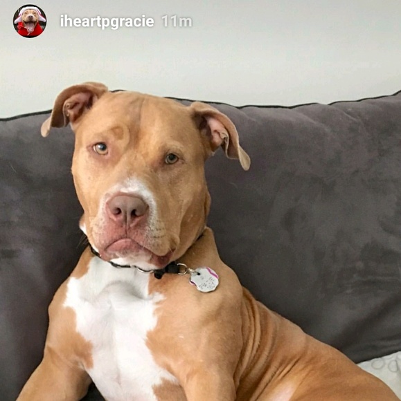 Profile Picture of Douglas Buttrum (@goblues) on Poshmark