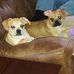 Profile Picture of Gary Scheffel (@gary.scheffel.5) on Facebook