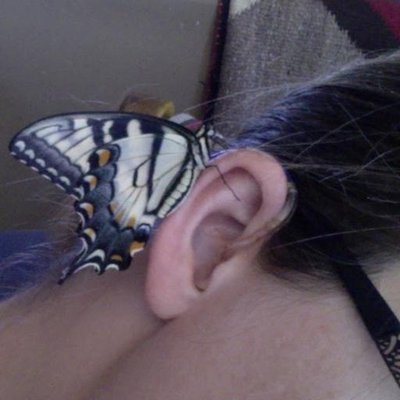 Profile Picture of Karen Larsen (@deafelephant) on Twitter