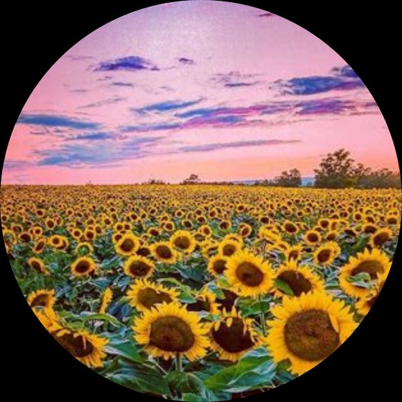 Profile Picture of Kimberly Rosdahl (@kimr60) on Poshmark