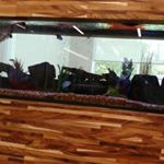 Profile Picture of Gerald Gibson (@gerald.artis1267gg1) on Instagram