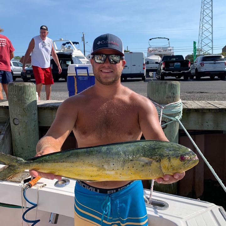 Jason Bowes - Tiktok Profile Picture of Jason Bowes (@@jasonbowes) on Tiktok