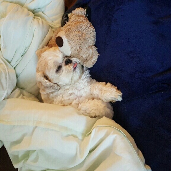 Profile Picture of Samantha Ioerger (@sioerger) on Poshmark