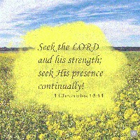 Profile Picture of Sherry Bratton (@sherry-bratton) on Quora