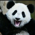 Profile Picture of michael apted (@aptedm) on Instagram