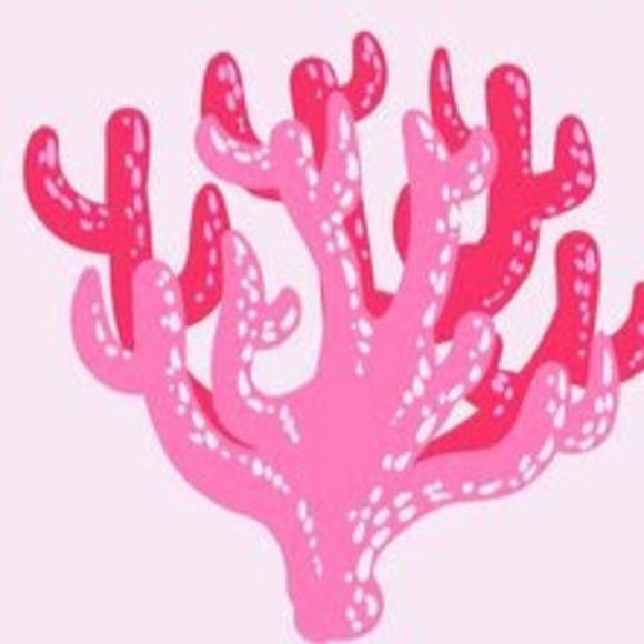 Profile Picture of Ava Ross (@avajord) on Poshmark