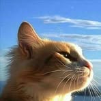 Grecia Agama - Facebook Profile Picture of Grecia Agama (@greciaesthet.agamaburga) on Facebook