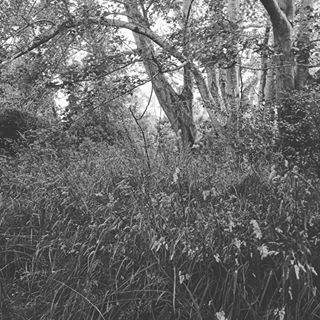 Profile Picture of Reilly Bracegirdle (@reilly.bracegirdle) on Facebook