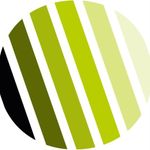 Profile Picture of Jason Lowey (@lowenergyservices) on Instagram