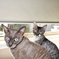 Profile Picture of John Petrou (@john-petrou) on Quora