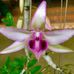 Profile Picture of Clacken Tn (@clacken.tn) on Facebook