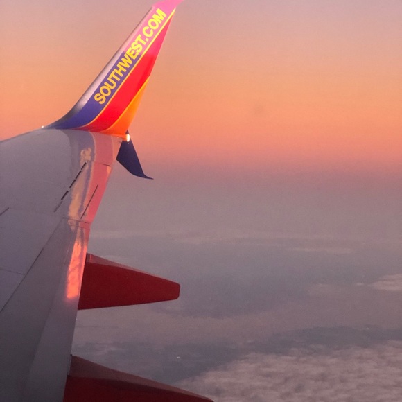 Profile Picture of Belle Andelin (@belle_boo) on Poshmark