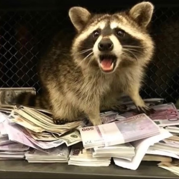 Profile Picture of Tony Disabato (@tonydisabato44) on Poshmark