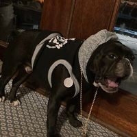 Profile Picture of Dominick Perino  (@dominick-perino-3) on Quora